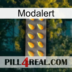 Modalert cialis1